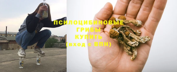спайс Бородино
