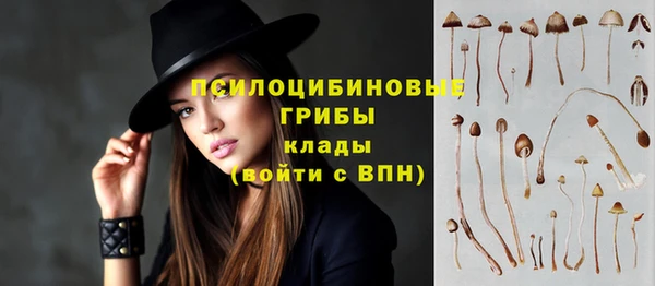 спайс Бородино