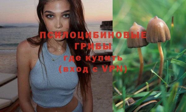 спайс Бородино